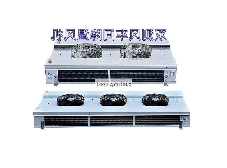 Double cross air cooler for workshop